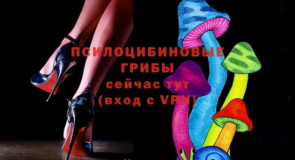 винт Армянск