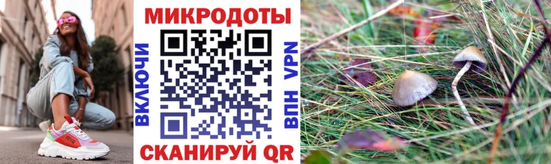 Псилоцибиновые грибы Magic Shrooms Бакал